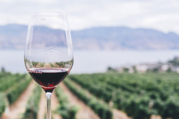 Les vins rouges
